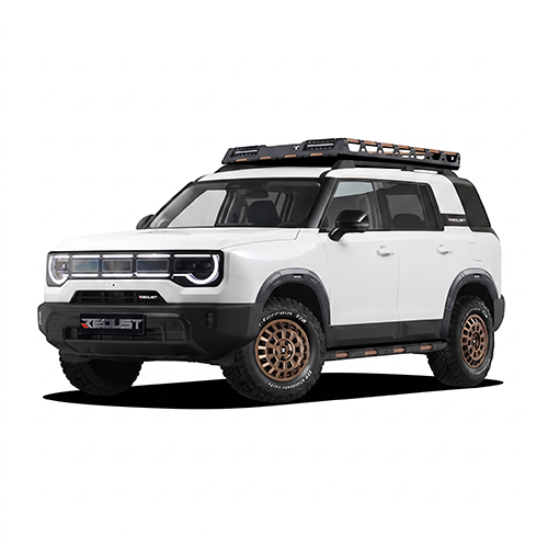 BJ30
